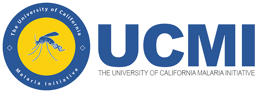 Logo 29