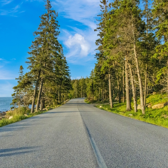A rural road in Maine with trees and blue sky with body of water on left side.