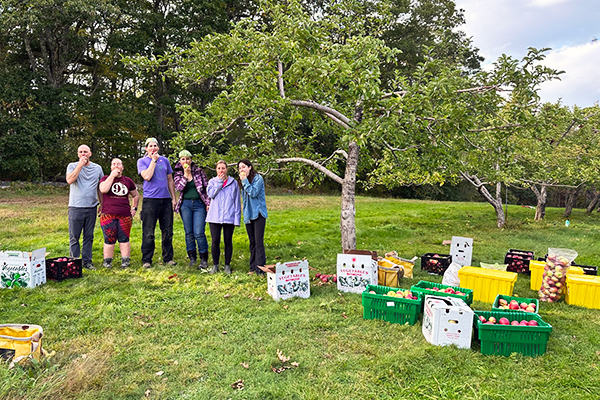 Gleaning volunteers harvesting apples in Maine for HLC.