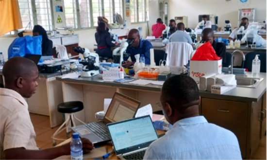 Microscopy training taking place in a classroom with desks and people sitting while looking through microscopes.
