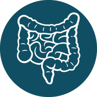 Blue icon of the colorectal system