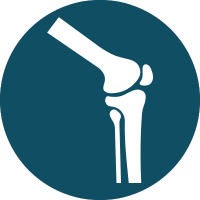 Blue icon of a femur and knee bone